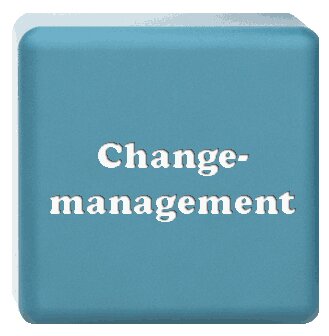 Großer 3D-Würfel beschriftet mit Changemanagement.<br />©Jezper