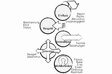 Vier Gruppen sind mit Kreisen und Beispielen visualisiert: Einfluss mit einem Pfeil nach außerhalb, Respekt mit einem Pfeil nach innen, Interaktion mit einem wechselseitigen Pfeil, Interesse mit vier Pfeile nach aussen und Wohlbefinden mit einem Pfeil auf sich selbst.<br>©memephoto