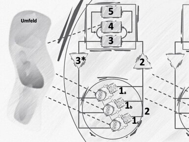 Das Viable System Model besteht aus den fünf Teilsystemen (frei nach Stafford Beer9: S1 Wertschöpfung; S2 Harmonisierung; S3 Koordination; S4 Ausrichtung; S5 Letzte Instanz.